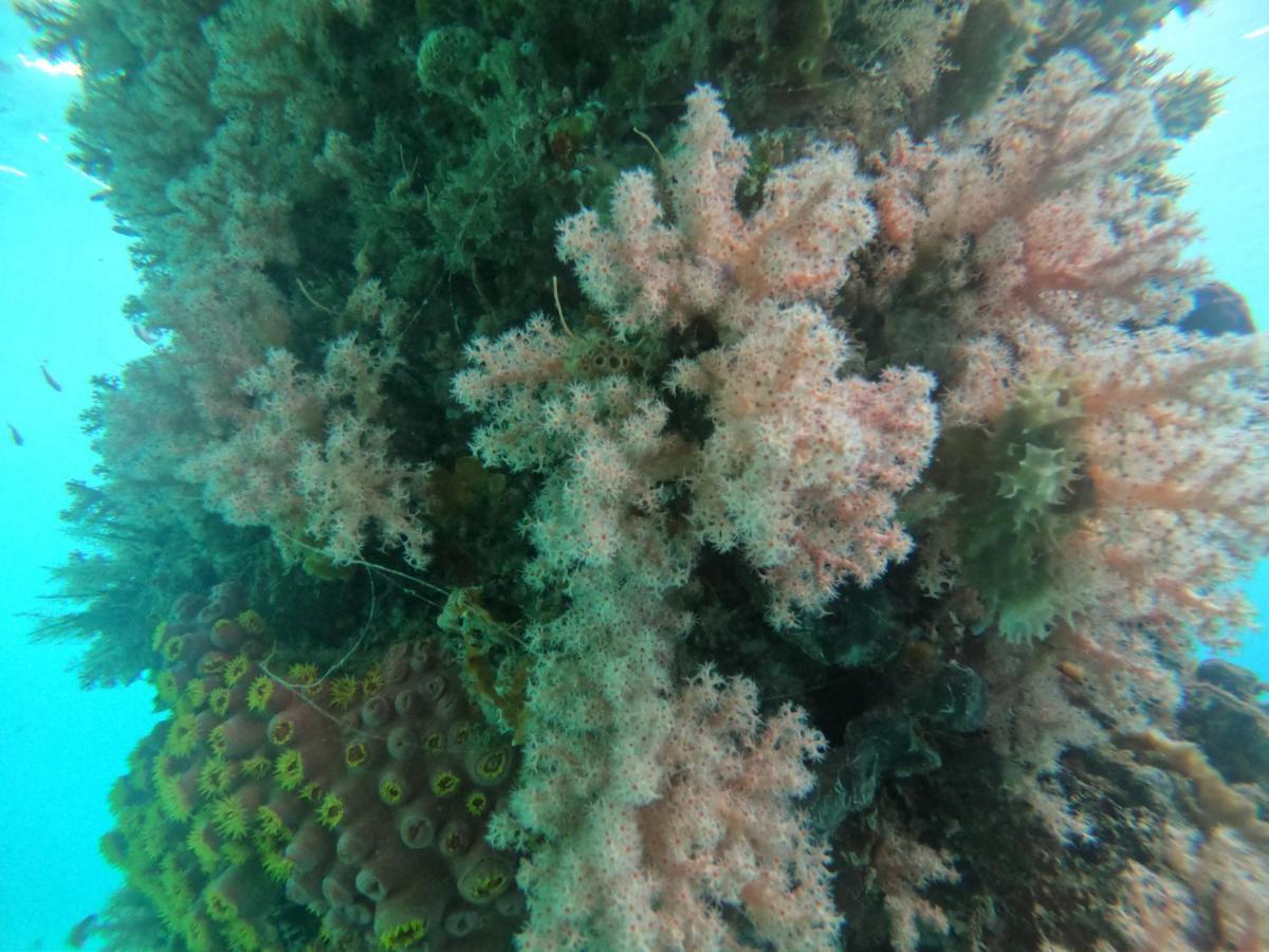 Meos Ambower Raja Ampat Séjour chez l'habitant Fam
