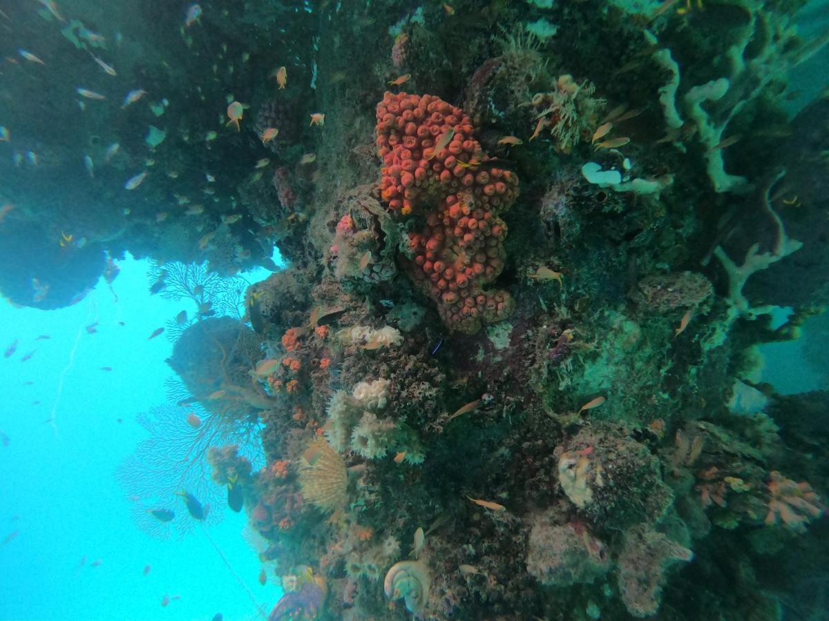 Meos Ambower Raja Ampat *