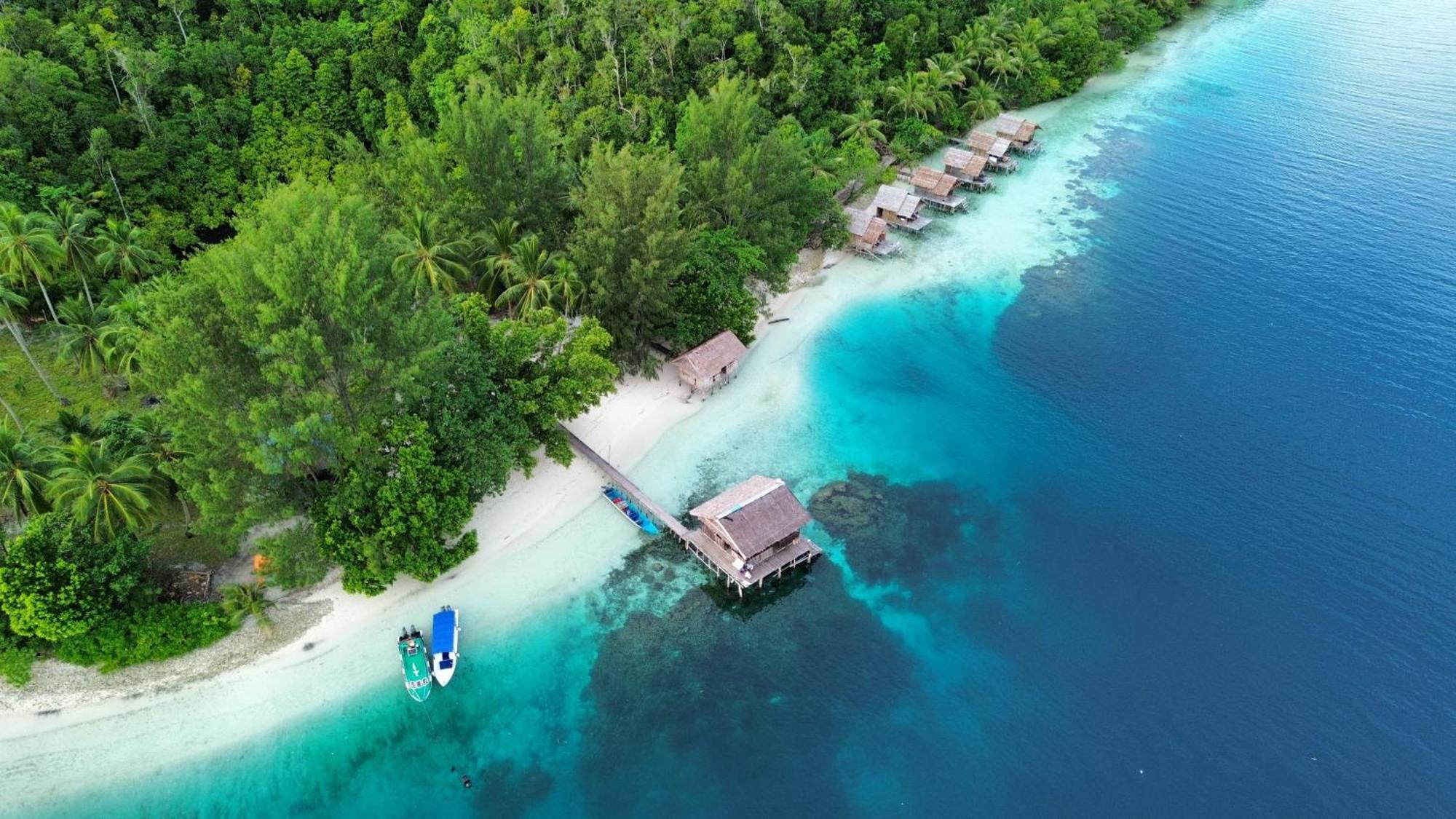 Meos Ambower Raja Ampat Fam