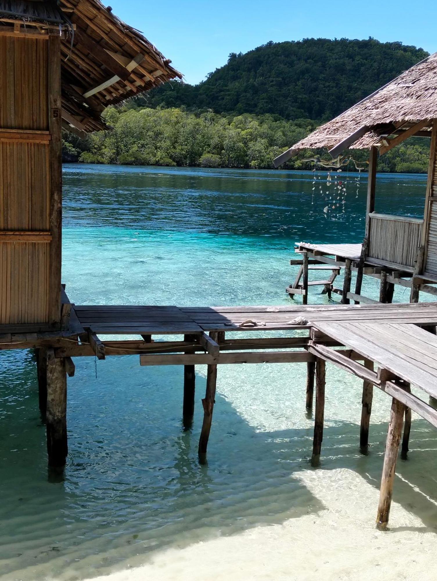 Meos Ambower Raja Ampat * Fam