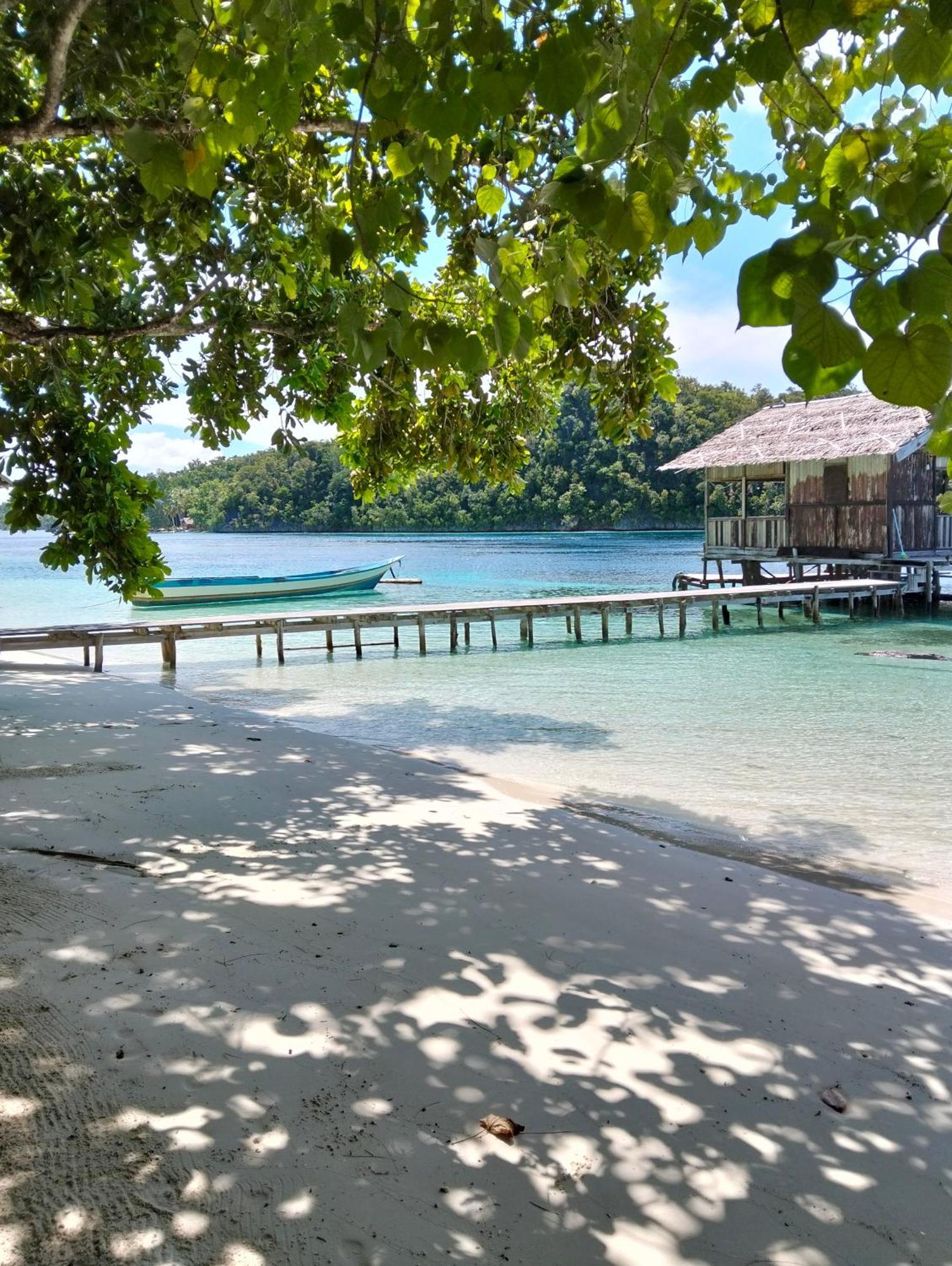 Meos Ambower Raja Ampat Fam